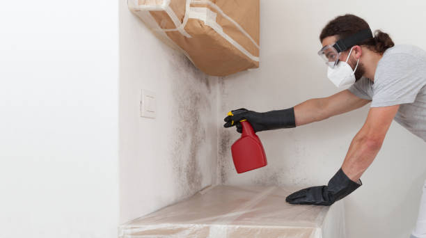 Professional Mold Inspection technician working in New Hyde Park, NY
