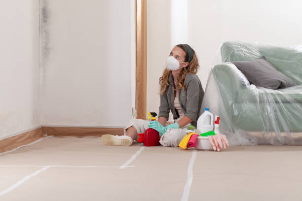 Reliable Mold Inspection contractor in New Hyde Park, NY by WQB Mold Removal